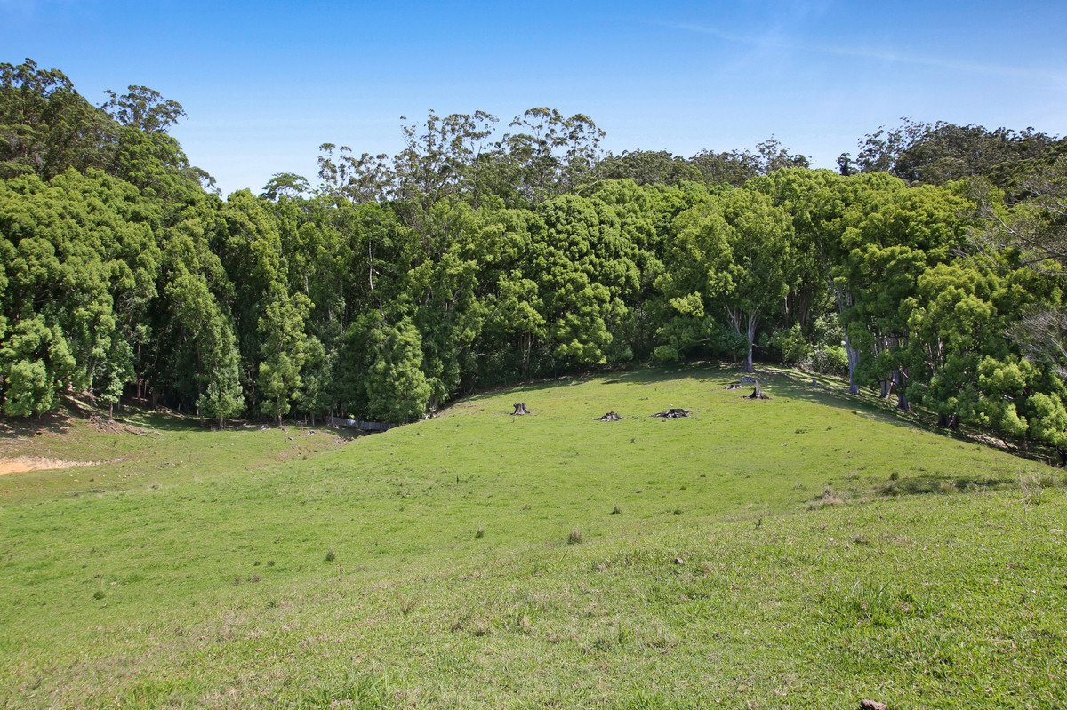 1039 Currumbin Creek Road Currumbin Valley 24