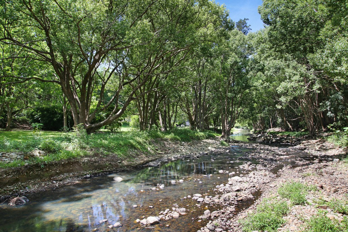 1039 Currumbin Creek Road Currumbin Valley 27
