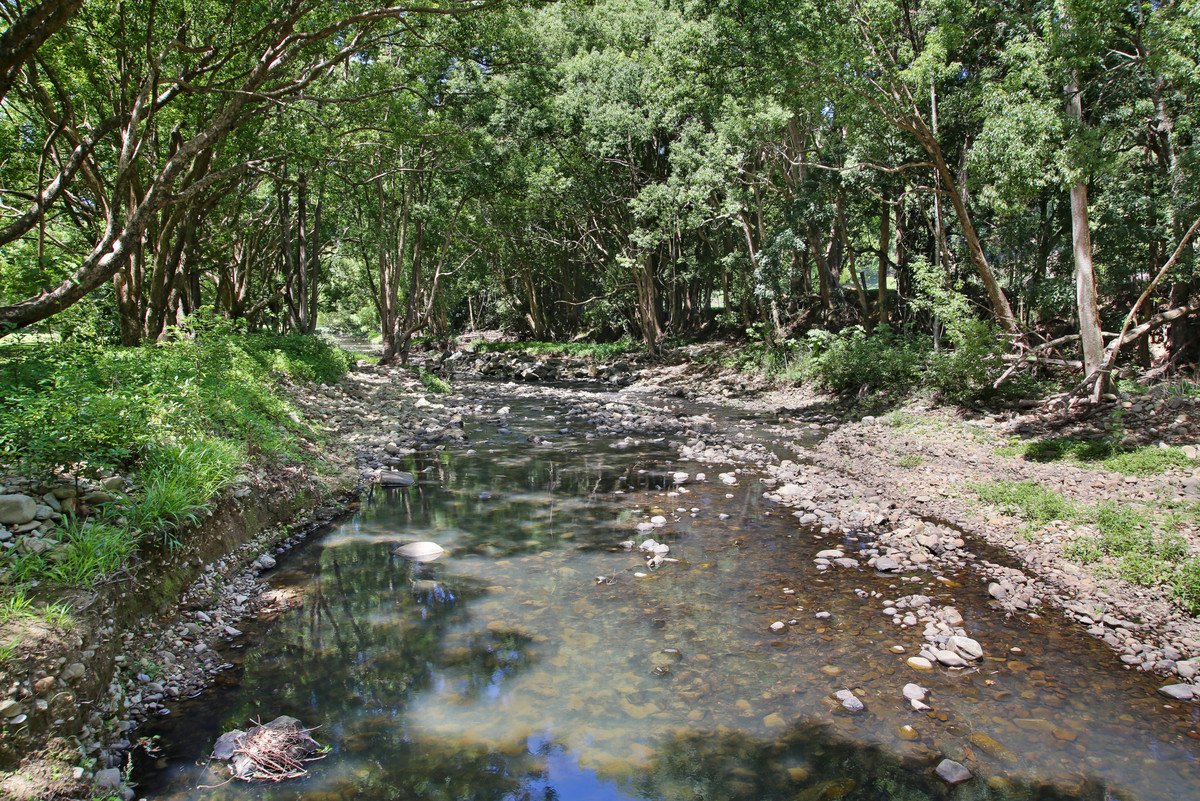 1039 Currumbin Creek Road Currumbin Valley 28