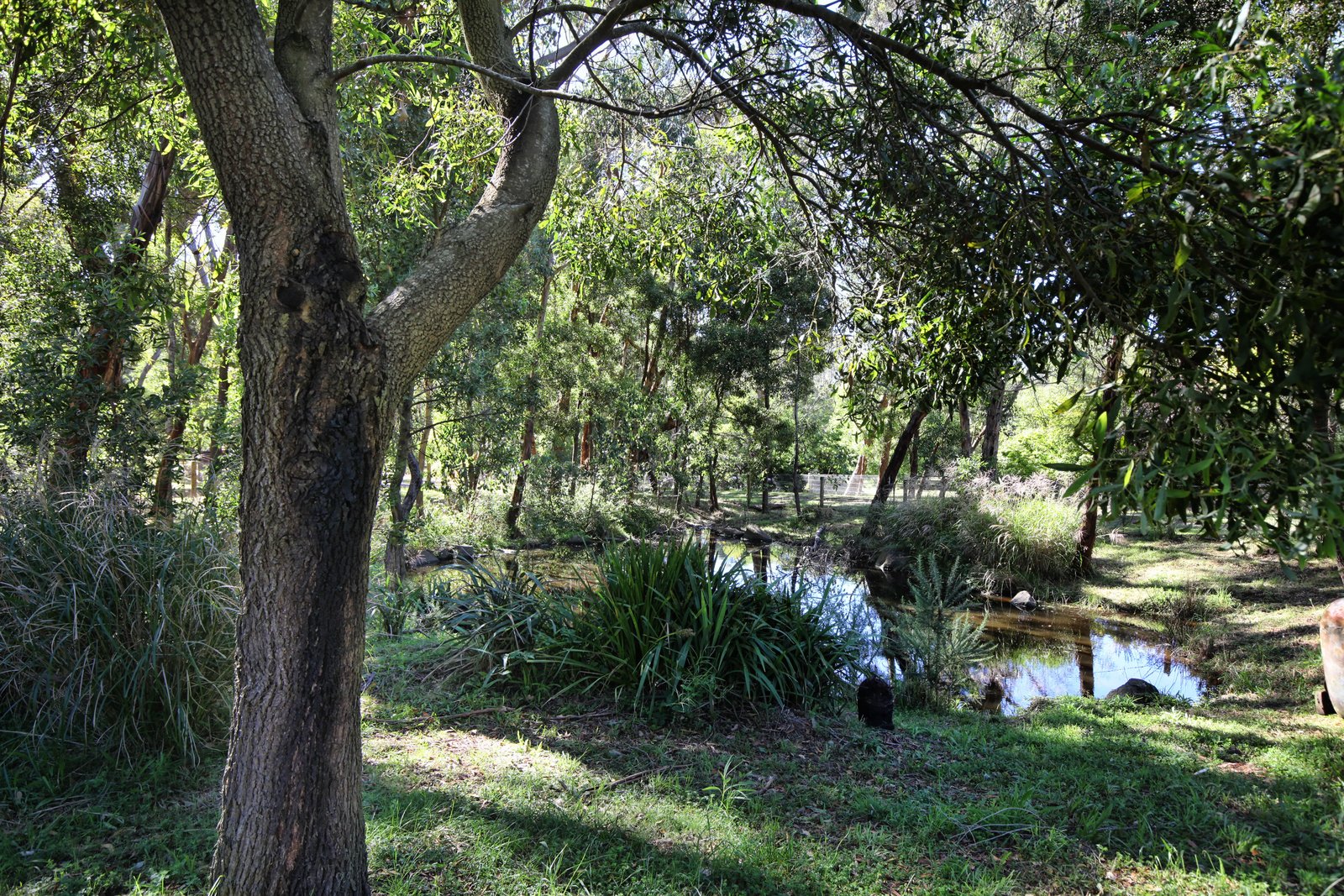 Real Estate and Property in 104 Blackmore Road, Woodend, VIC