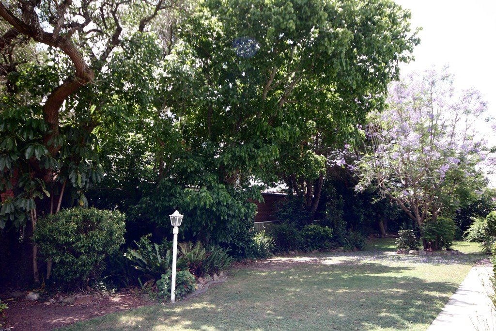 104 Caroline Street KINGSGROVE 12