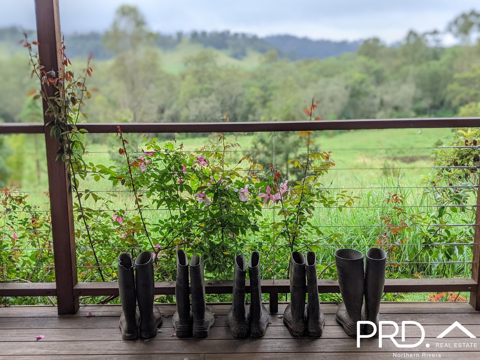 1046 Afterlee Road EDEN CREEK 22