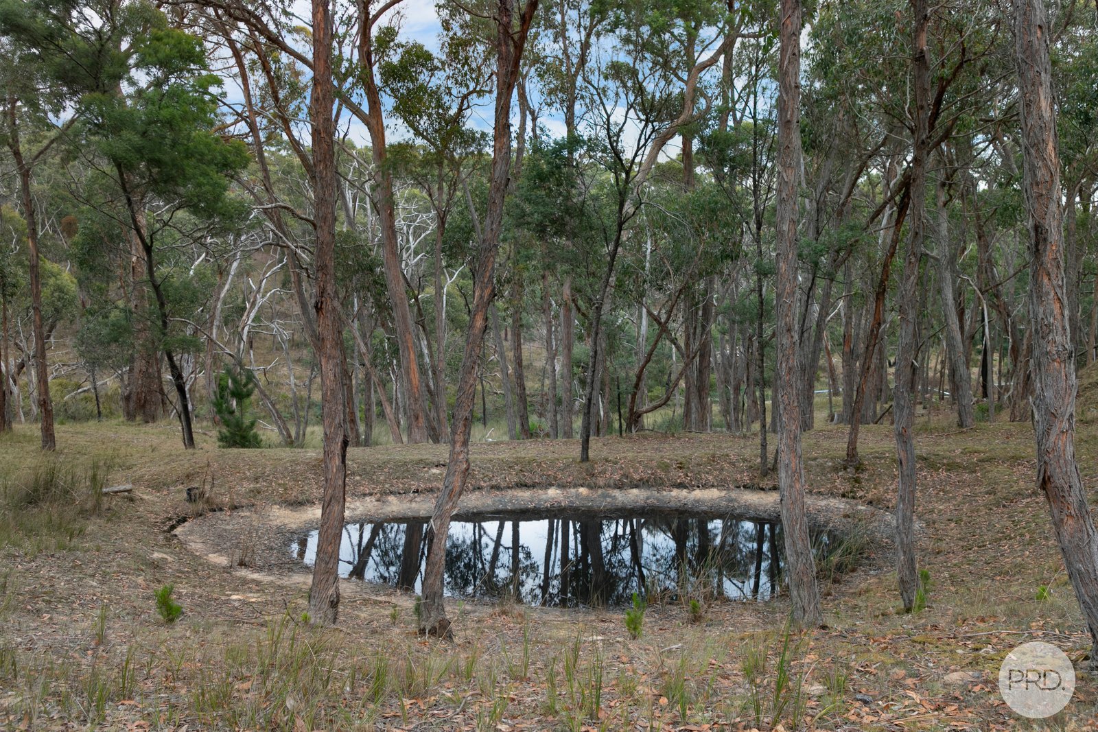 105 Bliss Road DEREEL 5