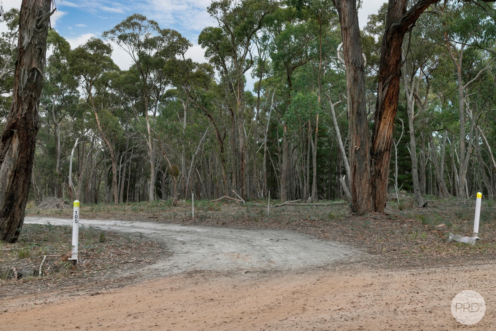 105 Bliss Road DEREEL 6