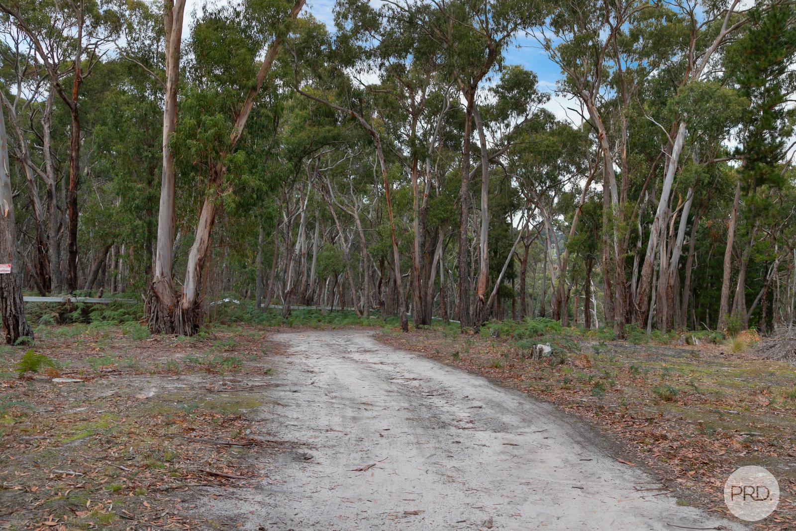 105 Bliss Road DEREEL 7