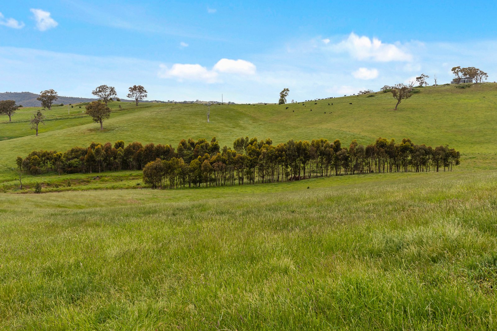 Real Estate and Property in 105 Englishs Road, Broadford, VIC