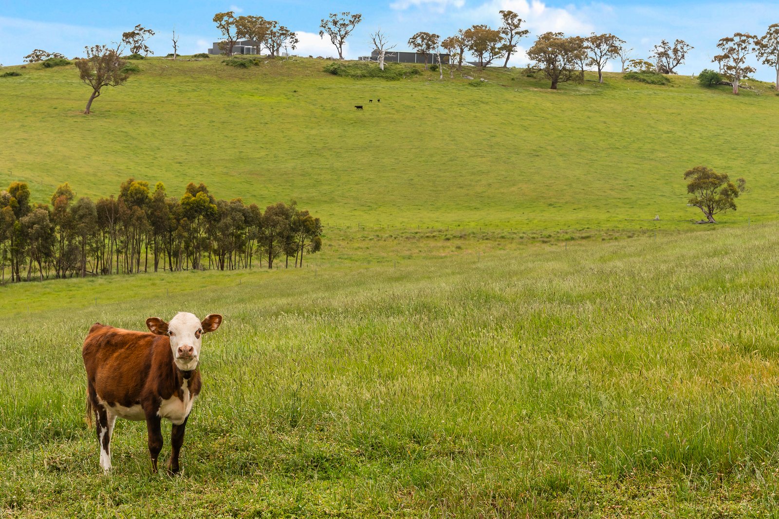 Real Estate and Property in 105 Englishs Road, Broadford, VIC