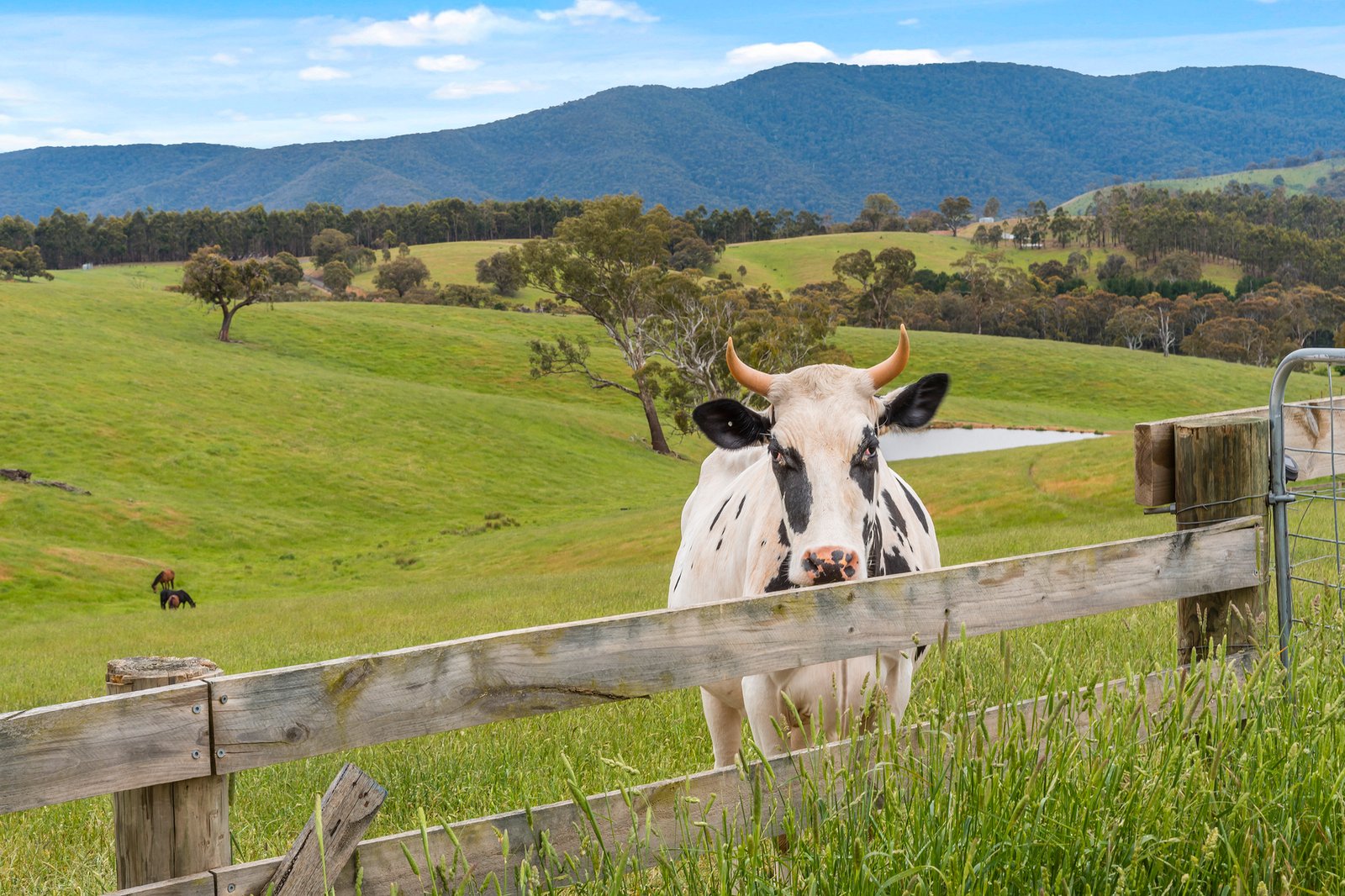 Real Estate and Property in 105 Englishs Road, Broadford, VIC