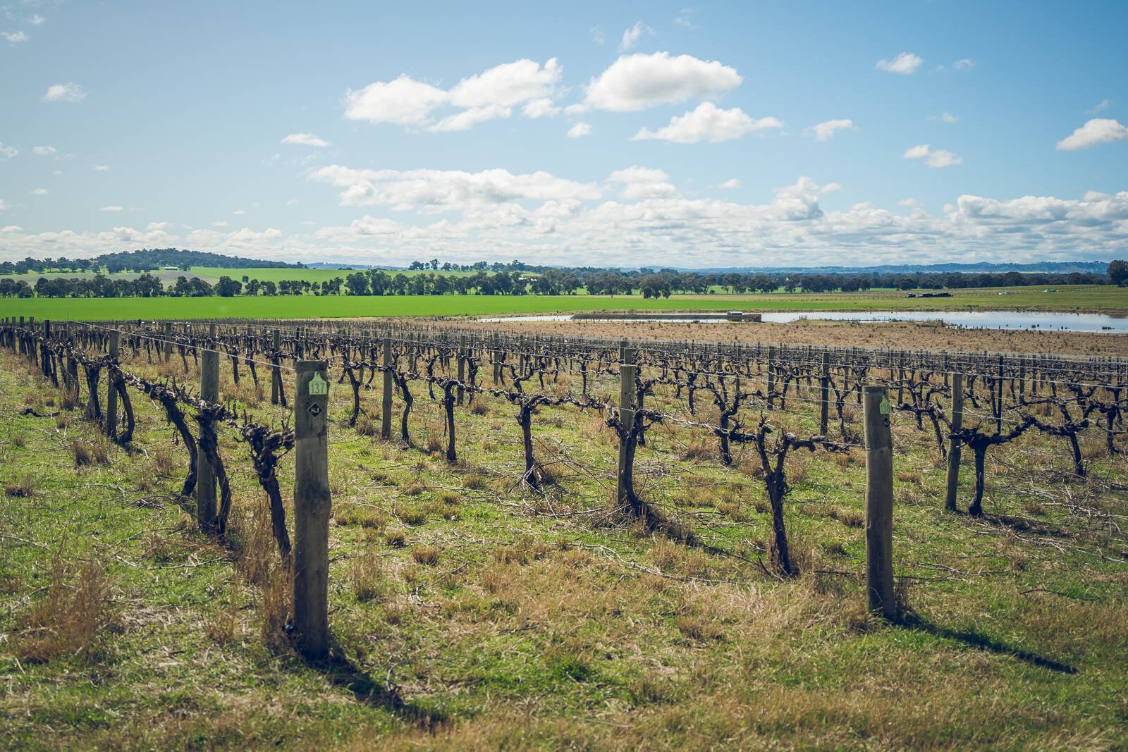 Real Estate and Property in 105 Fraser Road, Rutherglen, VIC