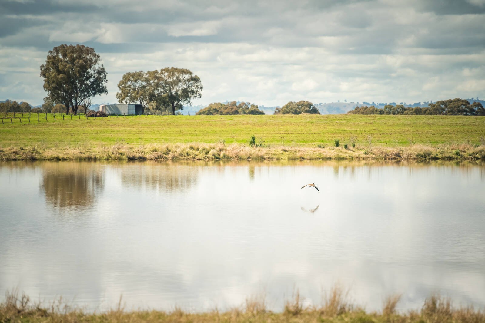 Real Estate and Property in 105 Fraser Road, Rutherglen, VIC