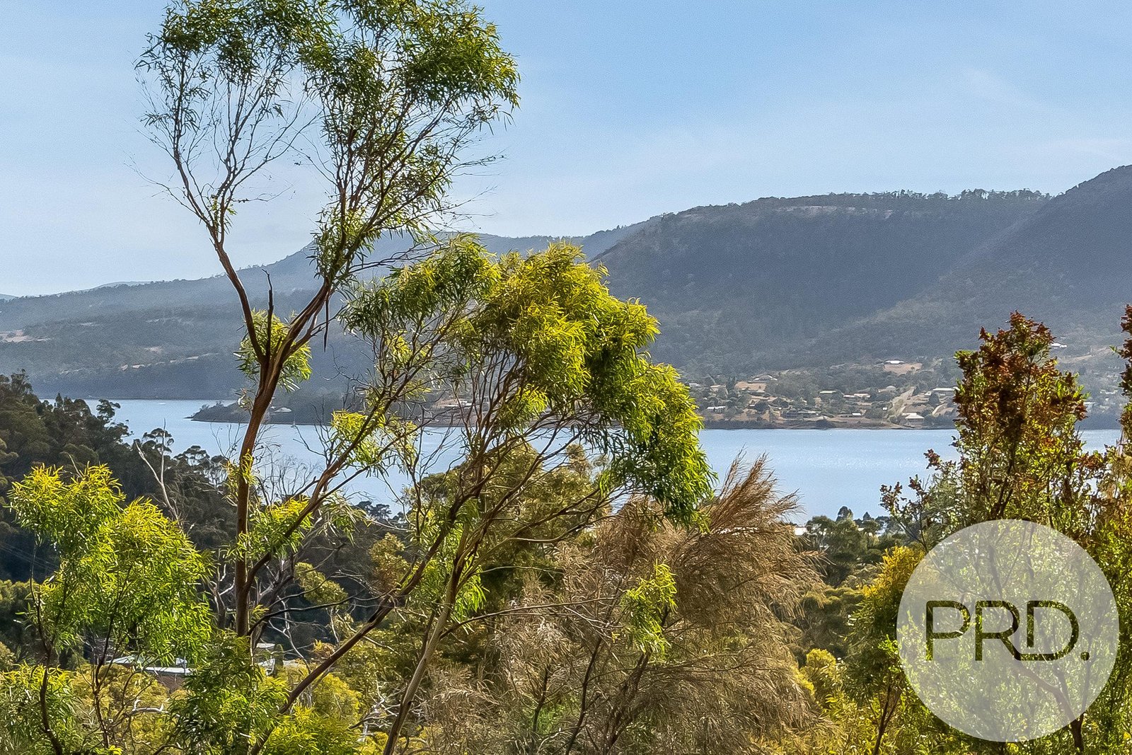 105 Montrose Road MONTROSE 5