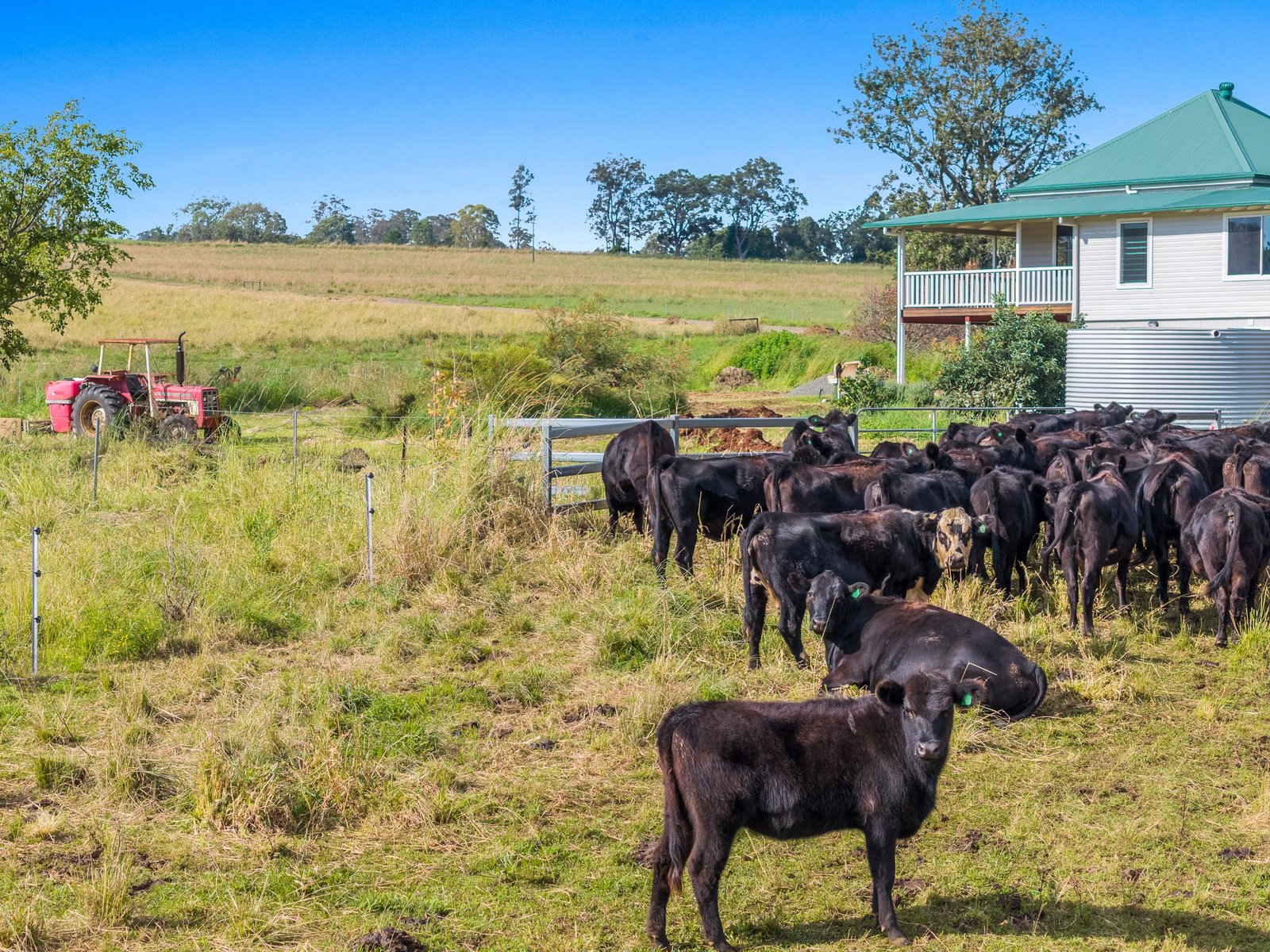 1050 Afterlee Road EDEN CREEK 28