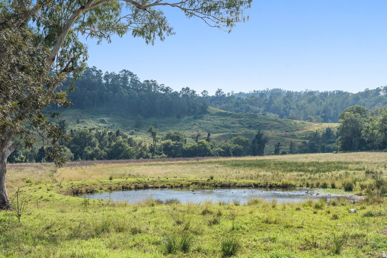 1050 Afterlee Road EDEN CREEK 29