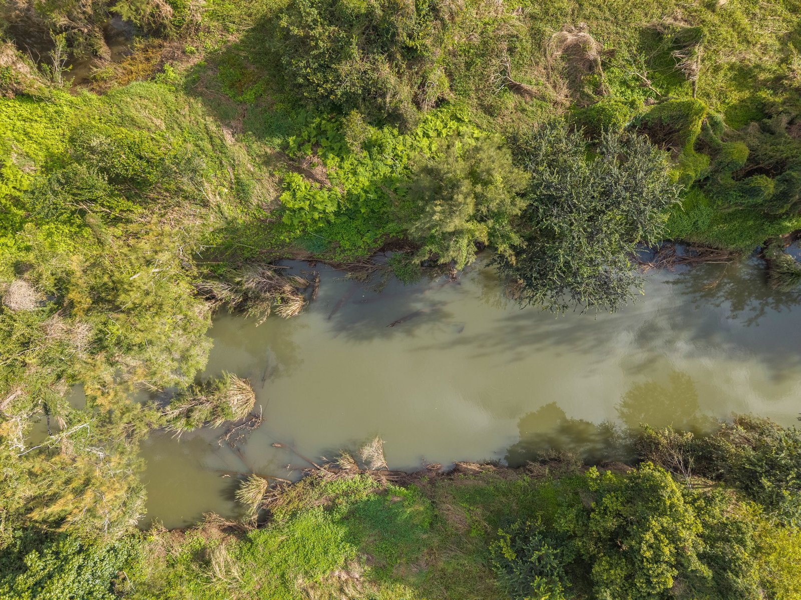 1050 Afterlee Road EDEN CREEK 30