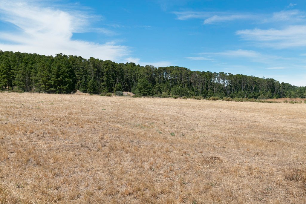 1052 - 1054 Humffray Street South MOUNT PLEASANT 4