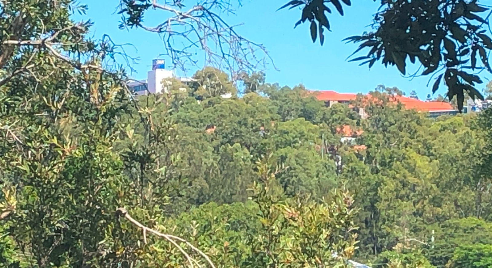 105/30 Wyndham Street HERSTON 17