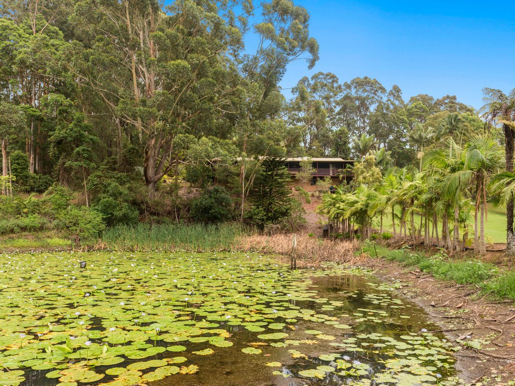105C Finlays Road KORORA 23