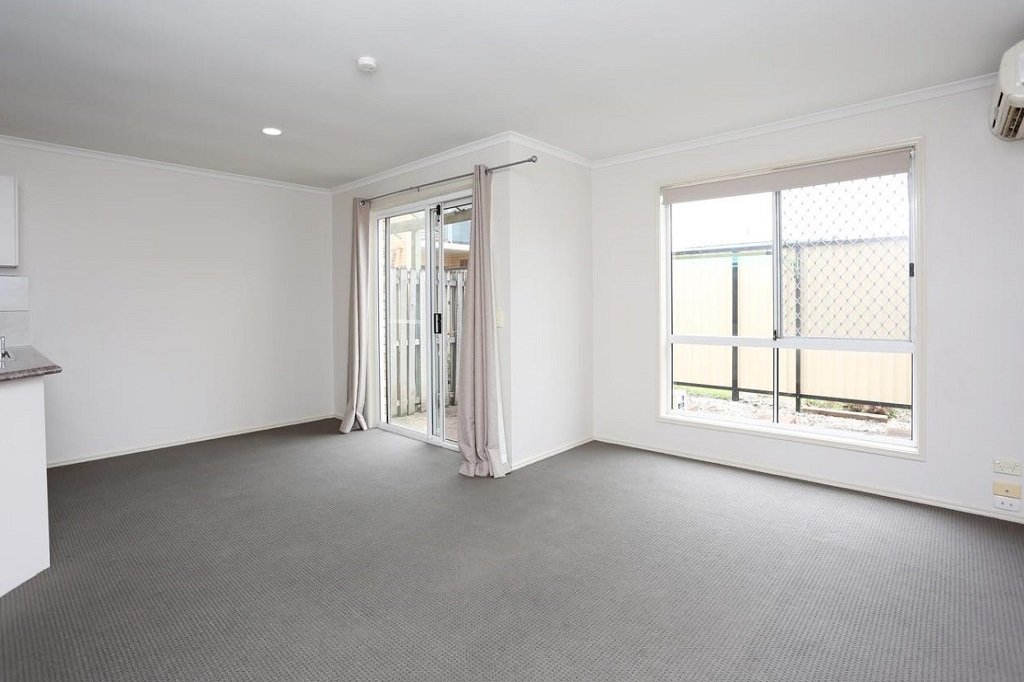 10/6 Harley Street LABRADOR 3