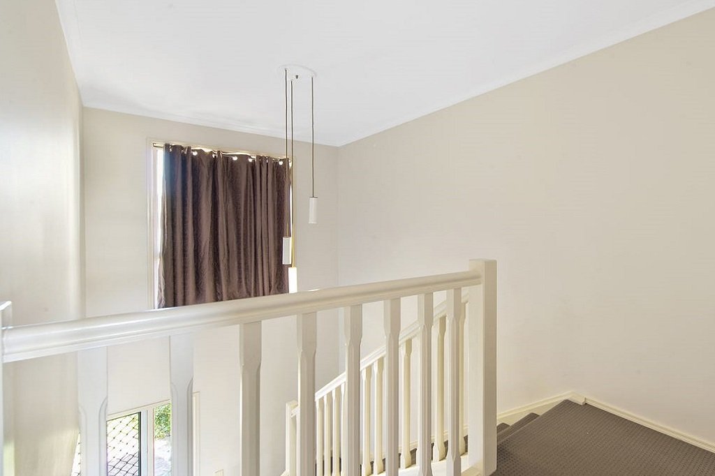 10/6 Harley Street LABRADOR 4