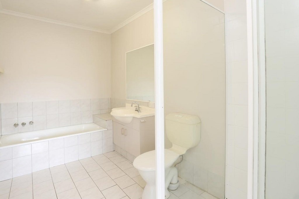 10/6 Harley Street LABRADOR 6