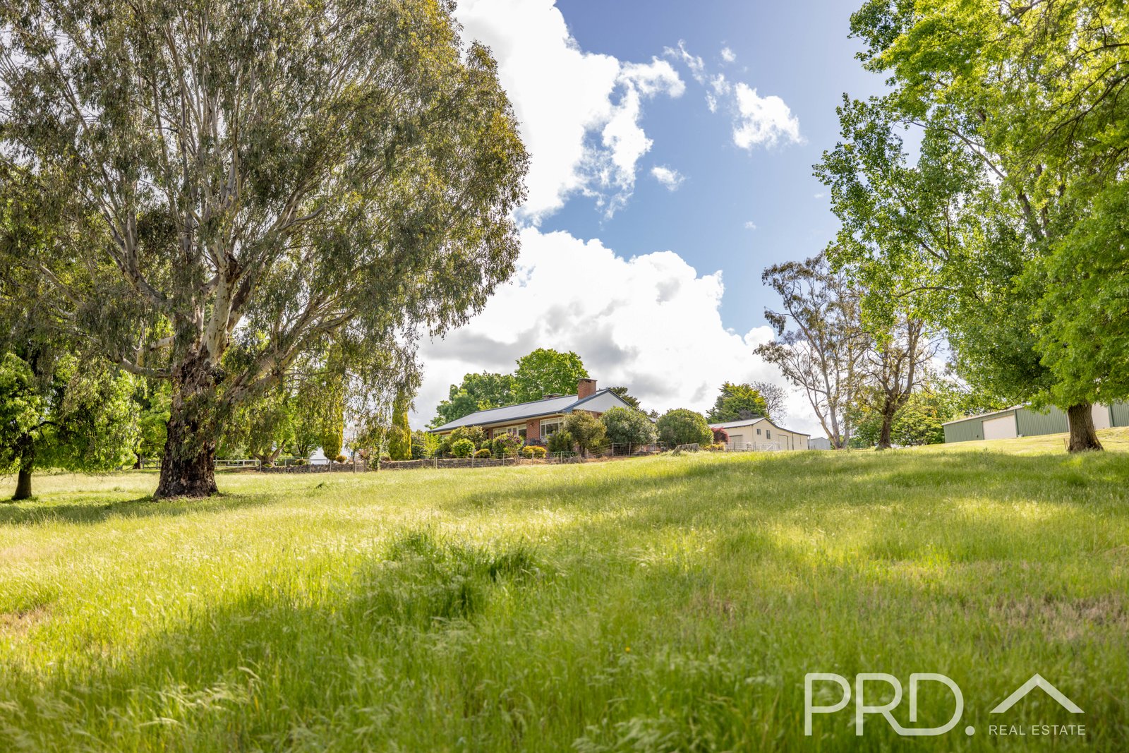 106 Lynch Street ADELONG 19