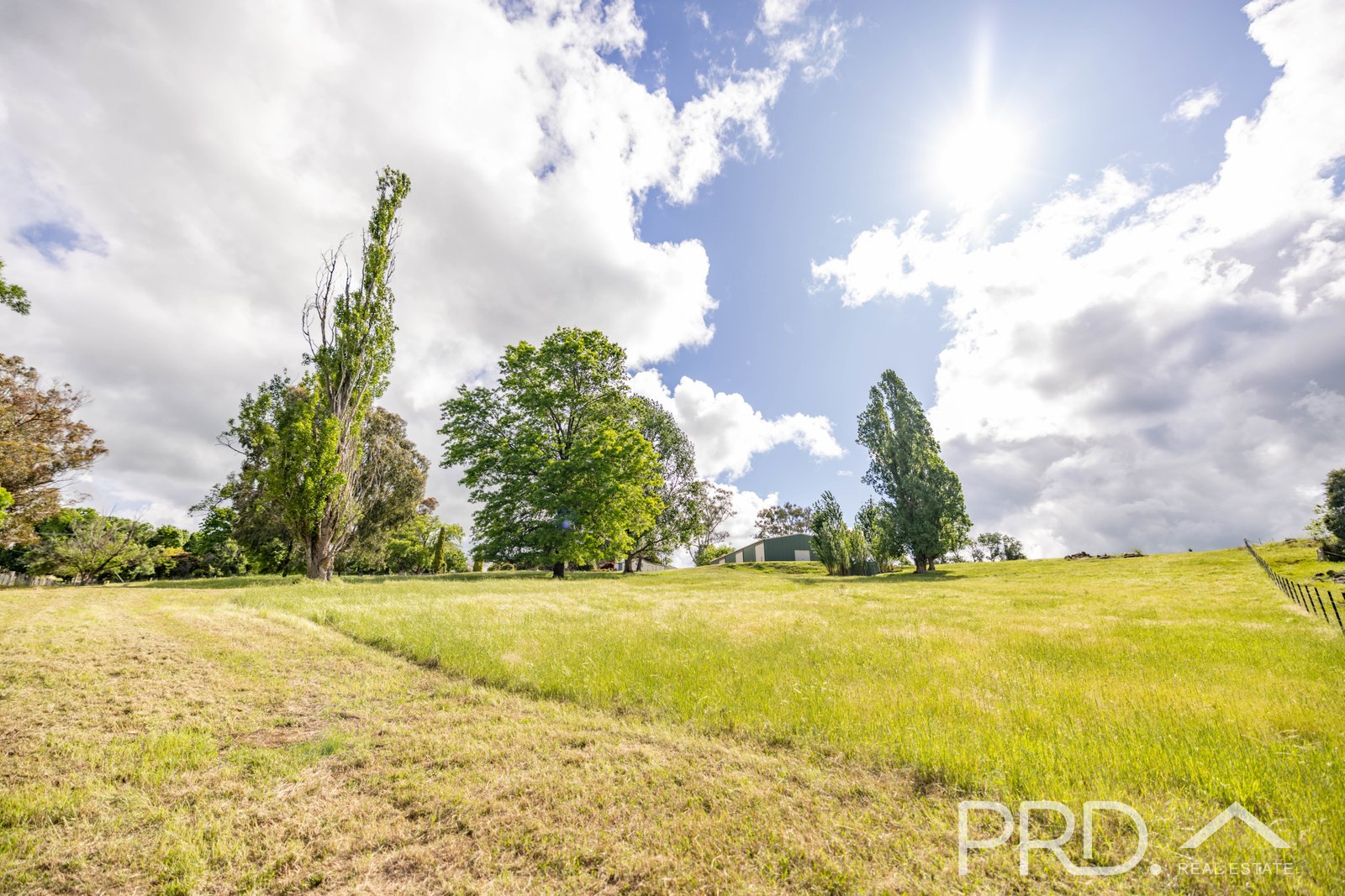 106 Lynch Street ADELONG 20