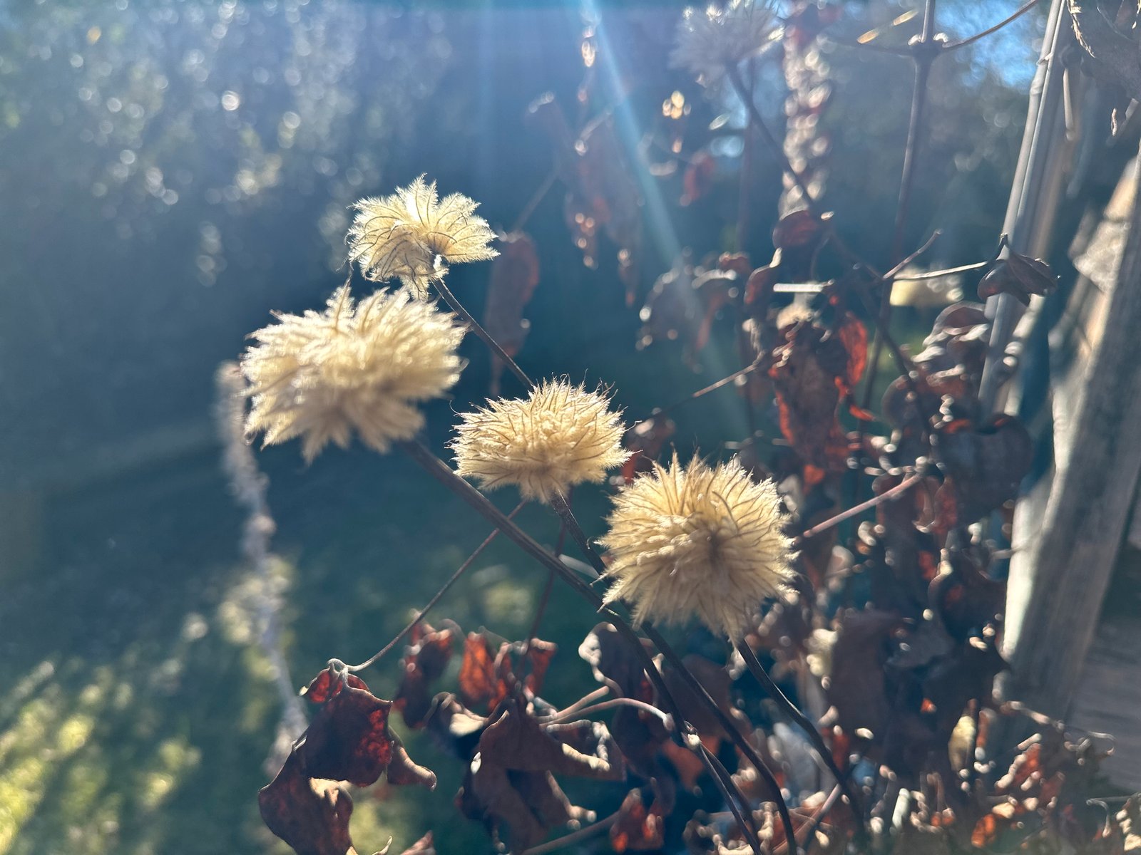 106 Winton Street TUMBARUMBA 23