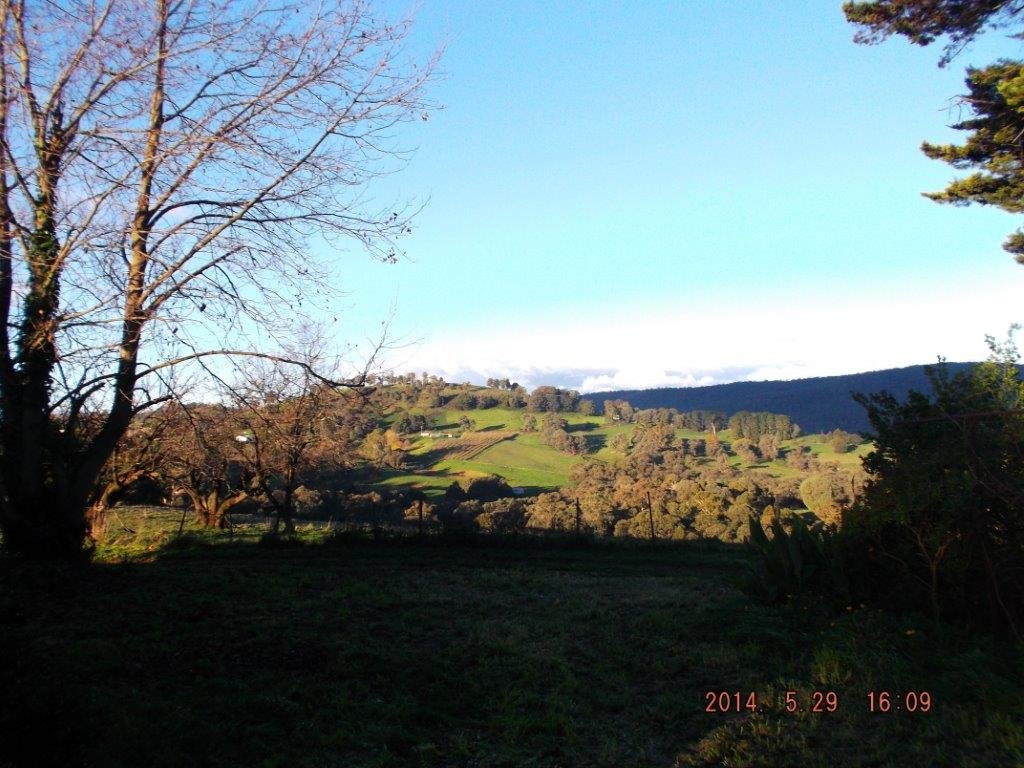 106 Yellowin Road BATLOW 9