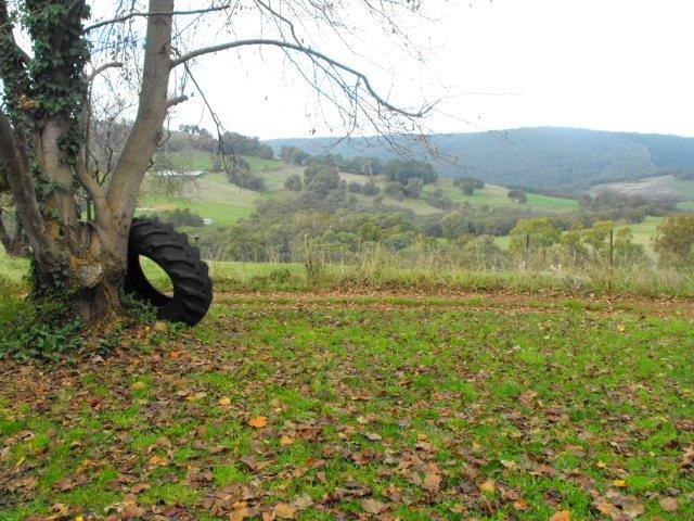 106 Yellowin Road BATLOW 10