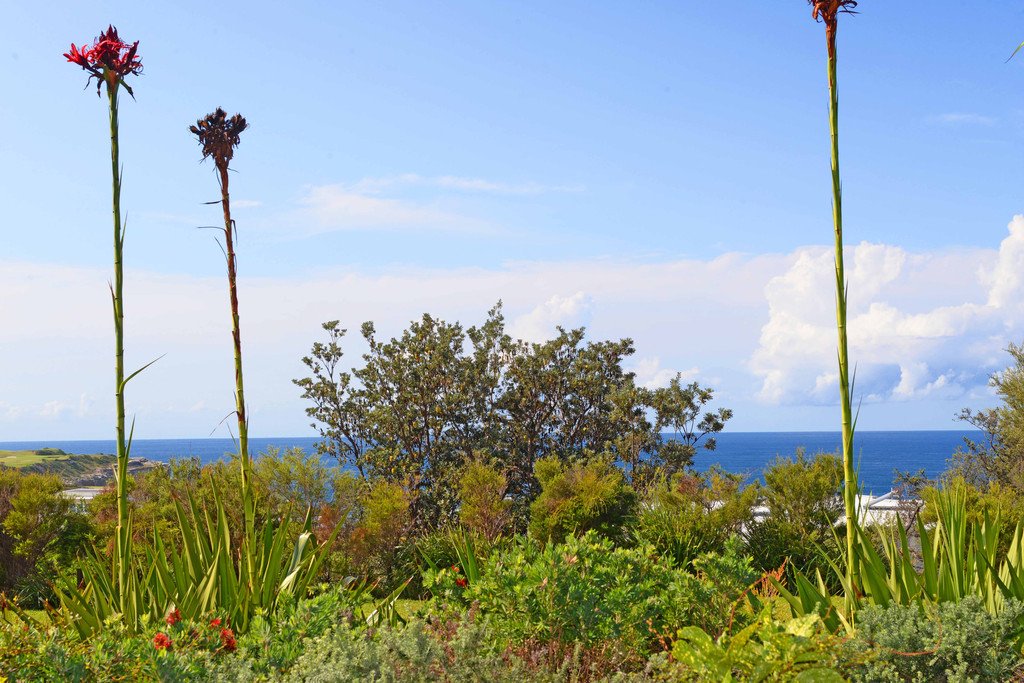 106/1 Pavilion Drive LITTLE BAY 7