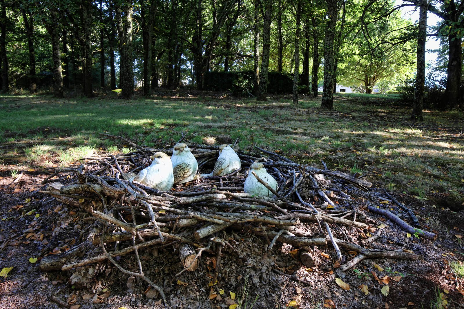 Real Estate and Property in 1065 Daylesford - Malmsbury Road, Glenlyon, VIC