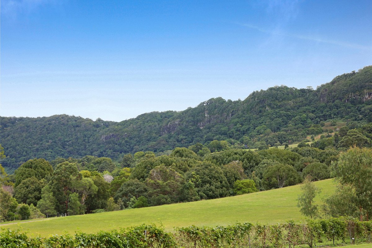 1068 Currumbin Creek Road Currumbin Valley 7