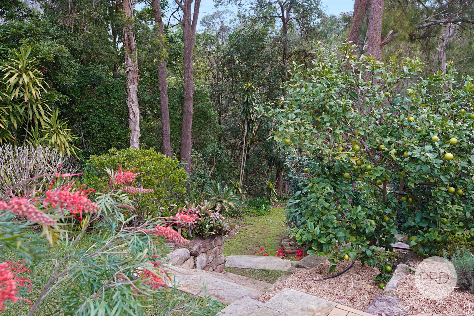 107 Governors Drive LAPSTONE 24