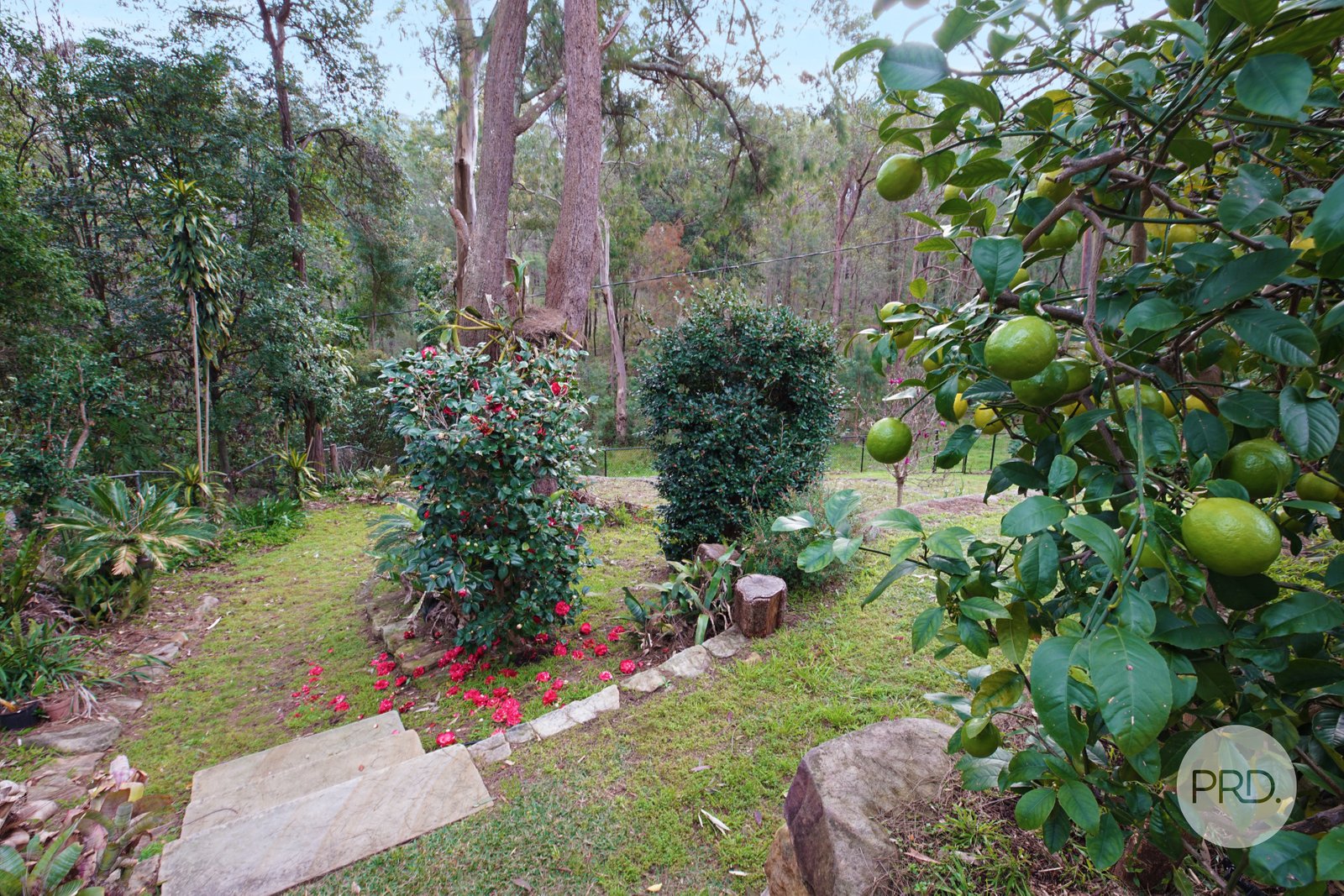 107 Governors Drive LAPSTONE 25