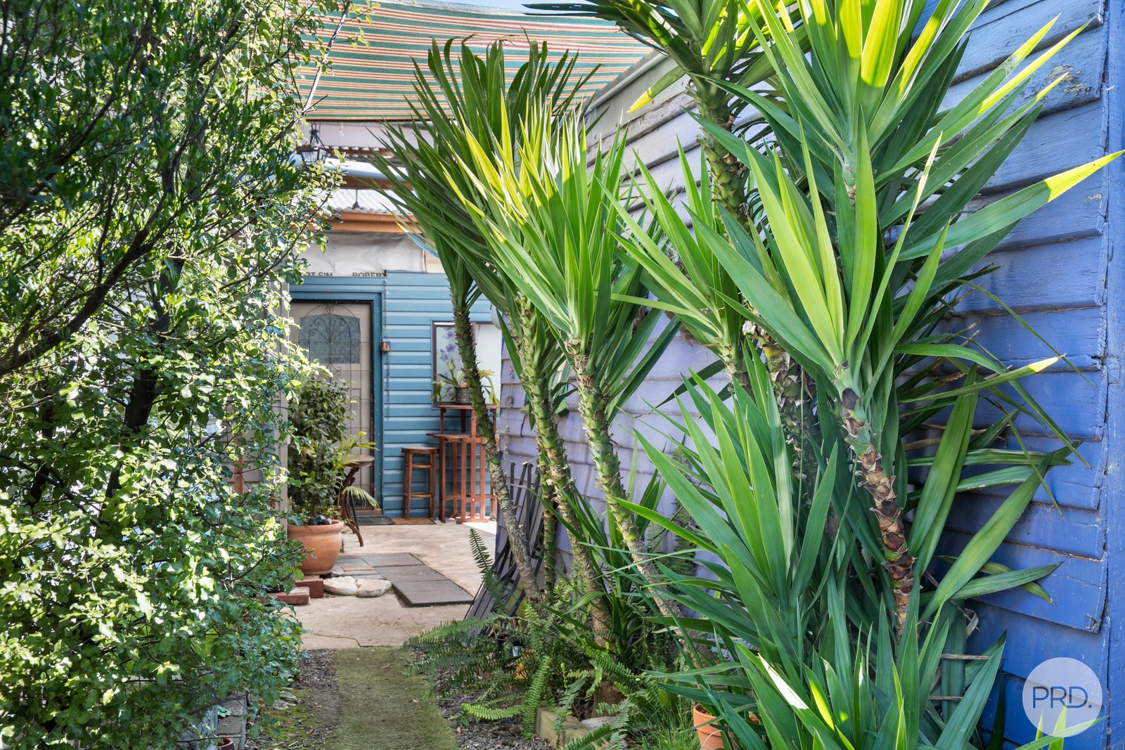 107 Pasco Street CRESWICK 12