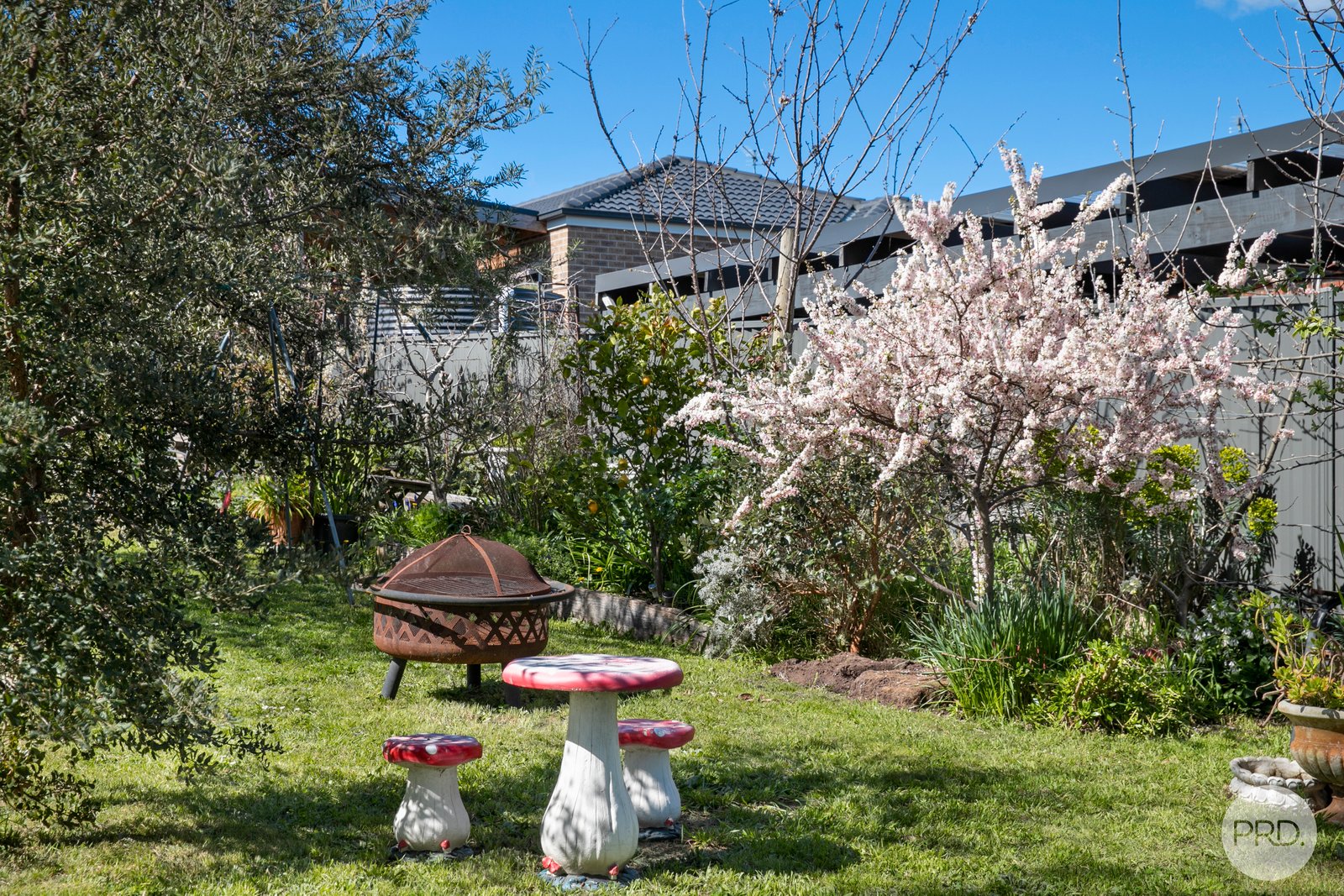 107 Pasco Street CRESWICK 17