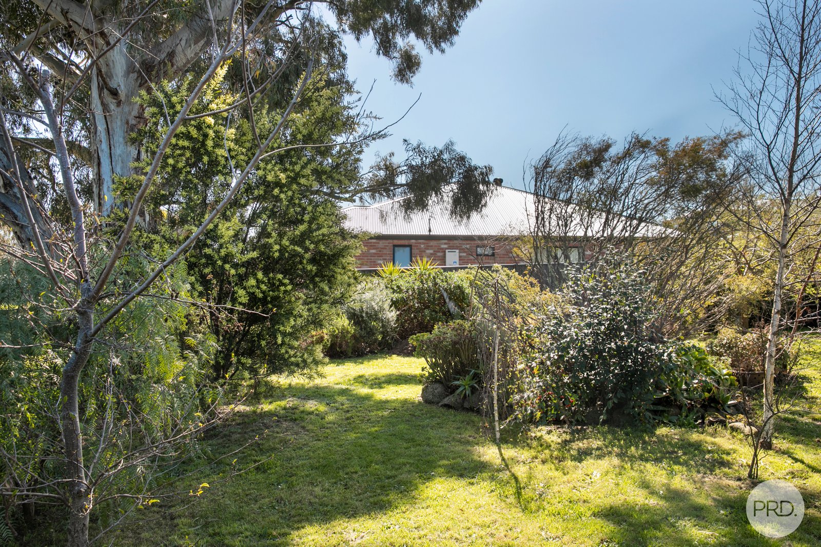 107 Pasco Street CRESWICK 19
