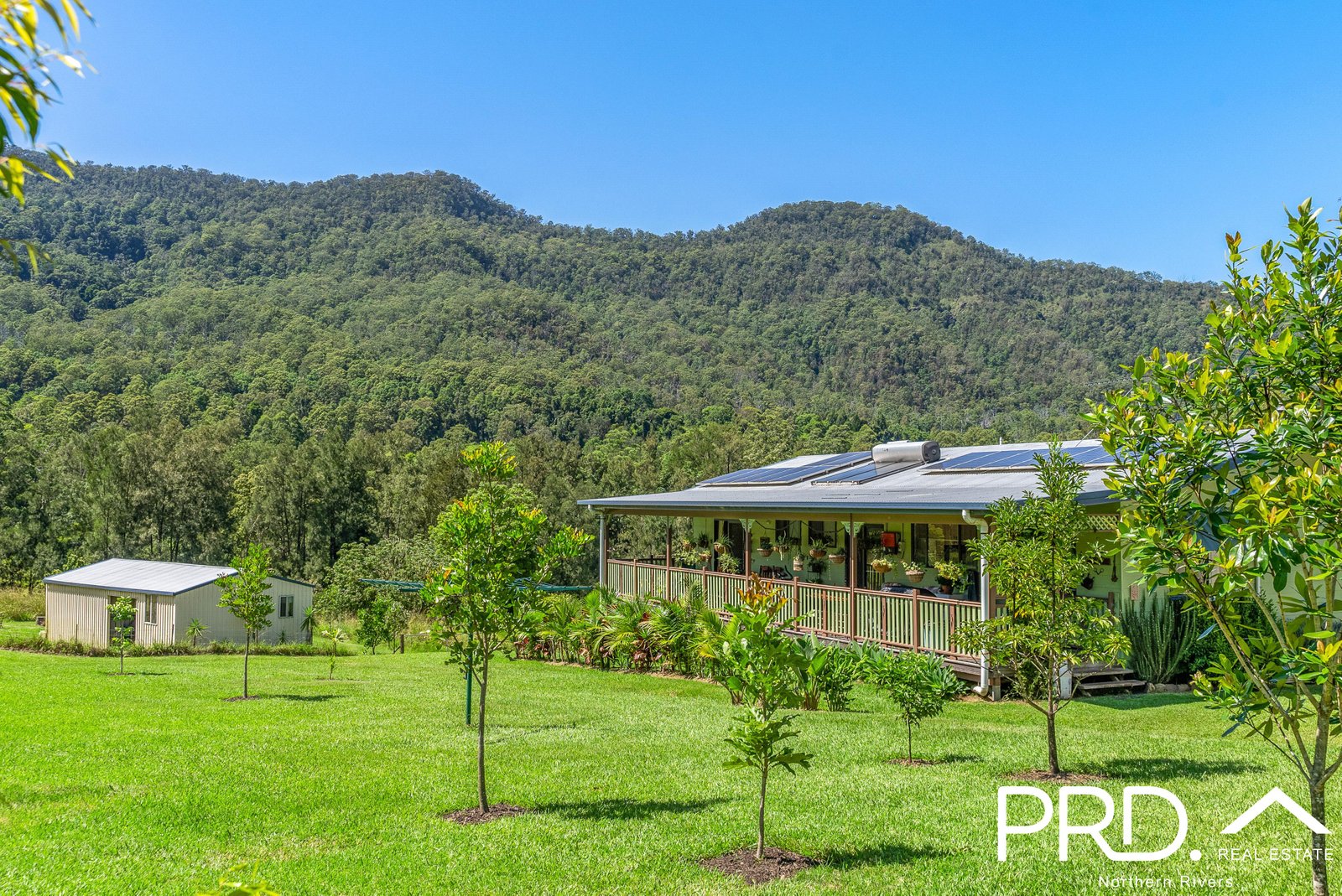 1076 Green Pigeon Road KYOGLE 1