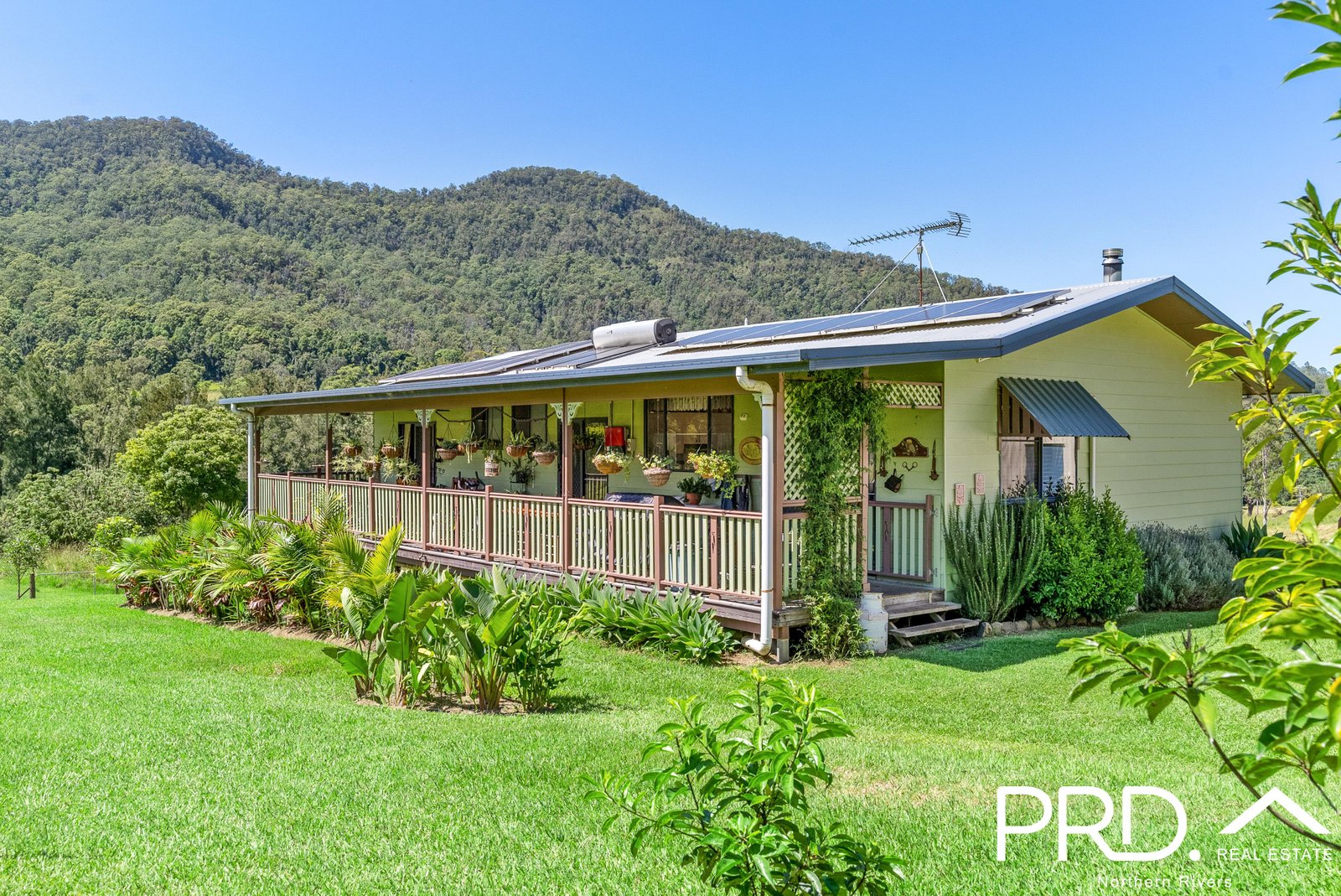 1076 Green Pigeon Road KYOGLE 19