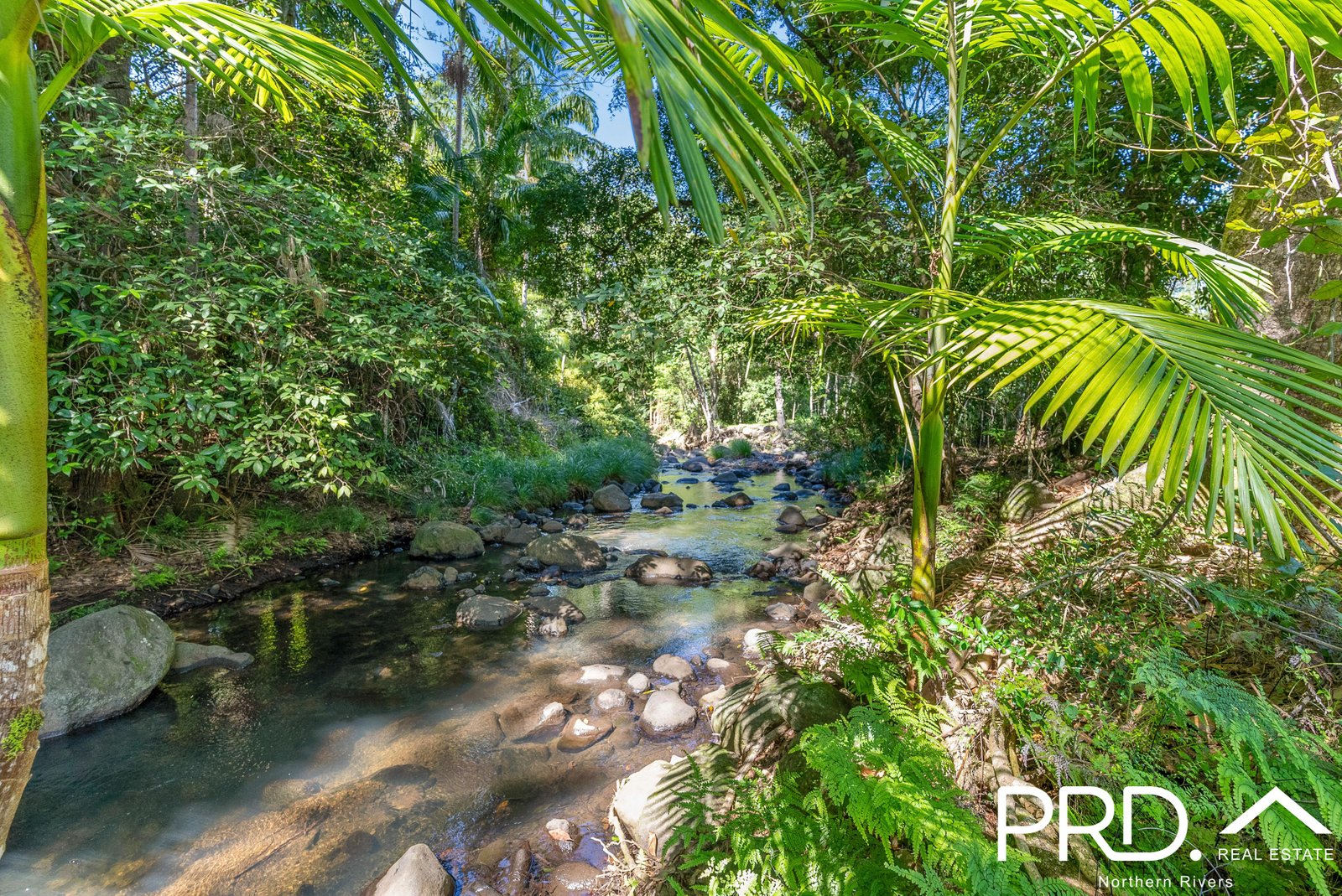 1076 Green Pigeon Road KYOGLE 23
