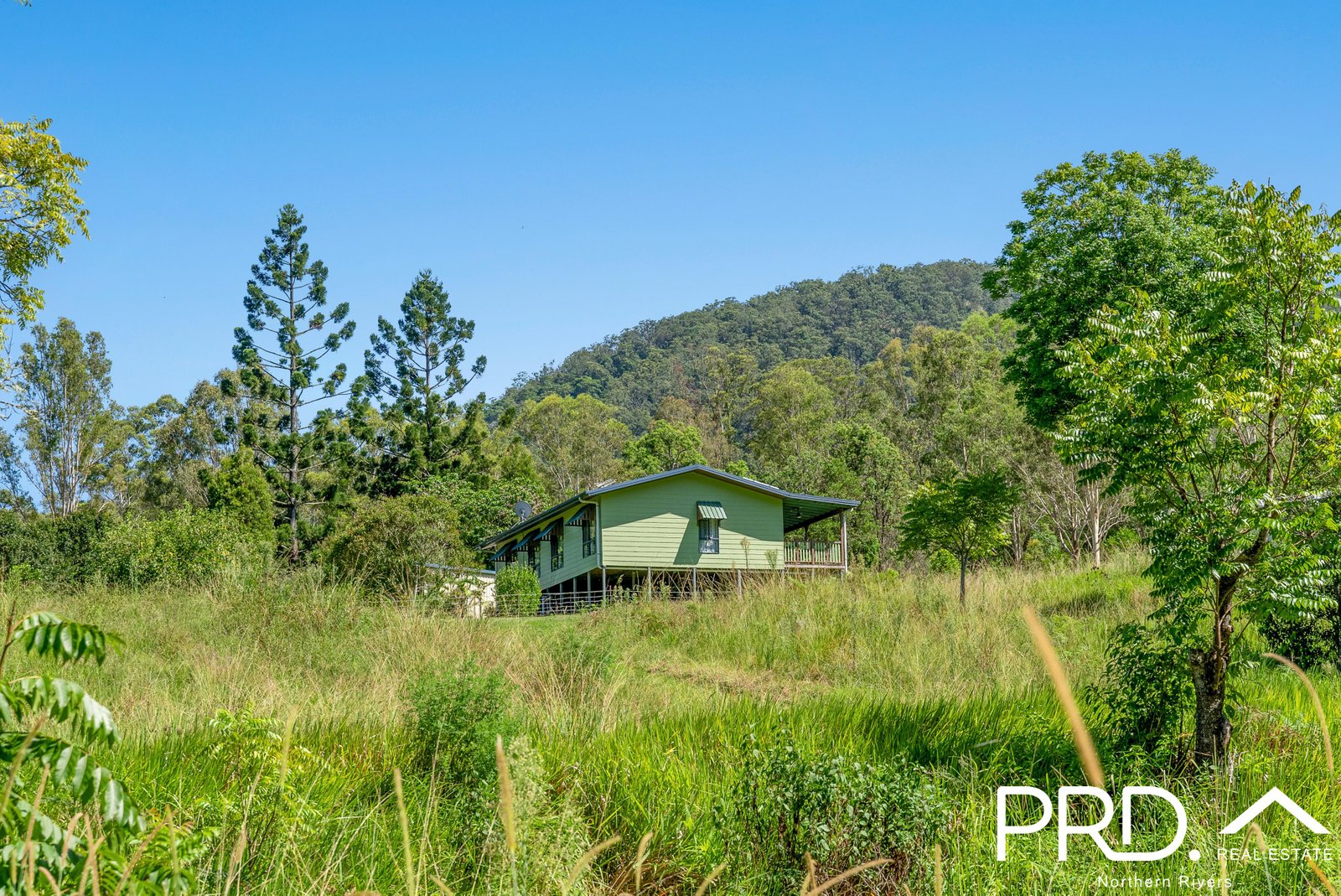 1076 Green Pigeon Road KYOGLE 28