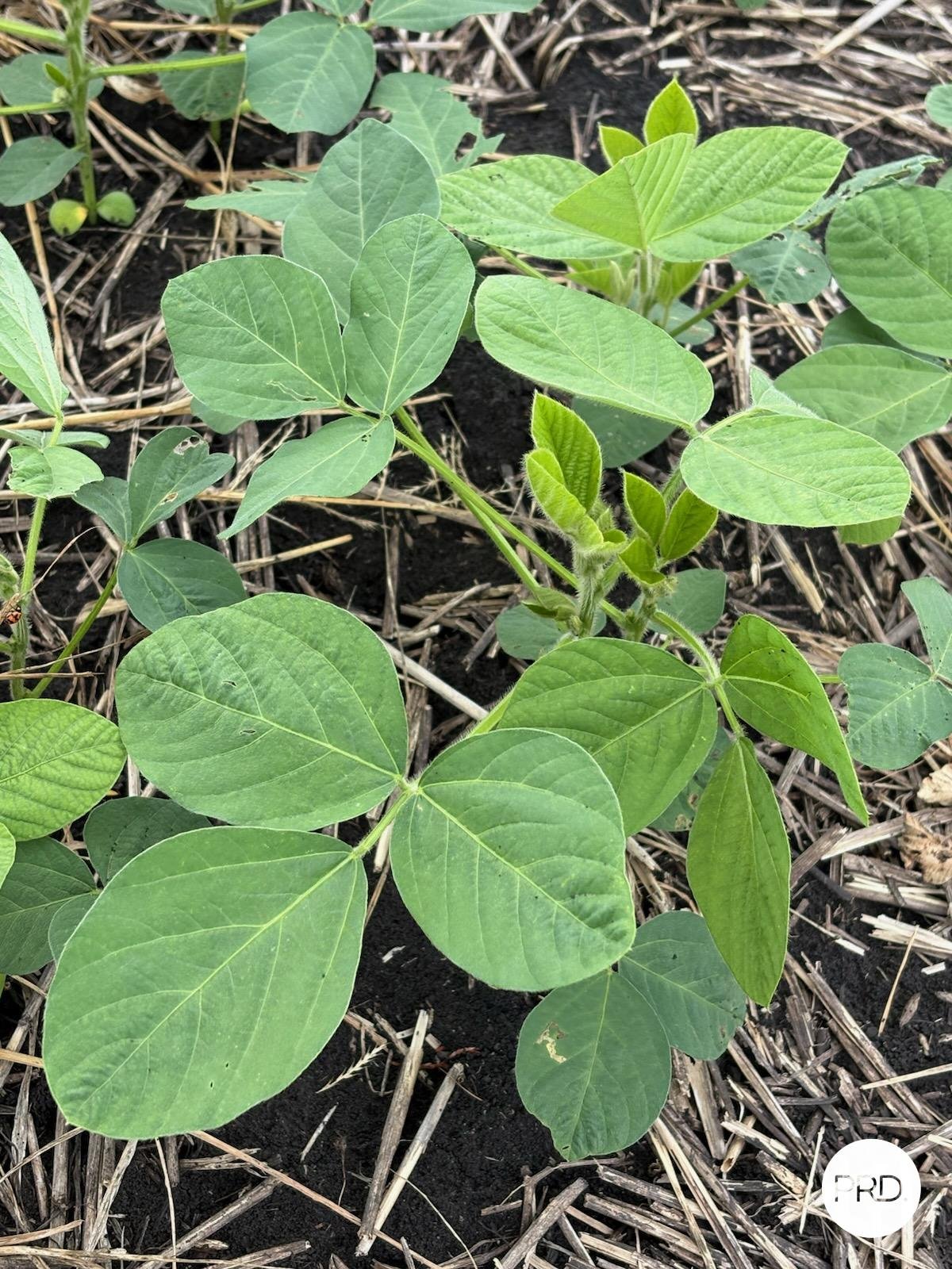 108 Blanchs Road LOWER MOUNT WALKER 30