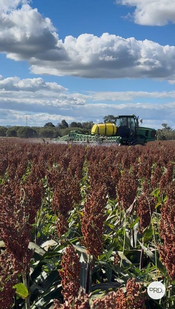 108 Blanchs Road LOWER MOUNT WALKER 32