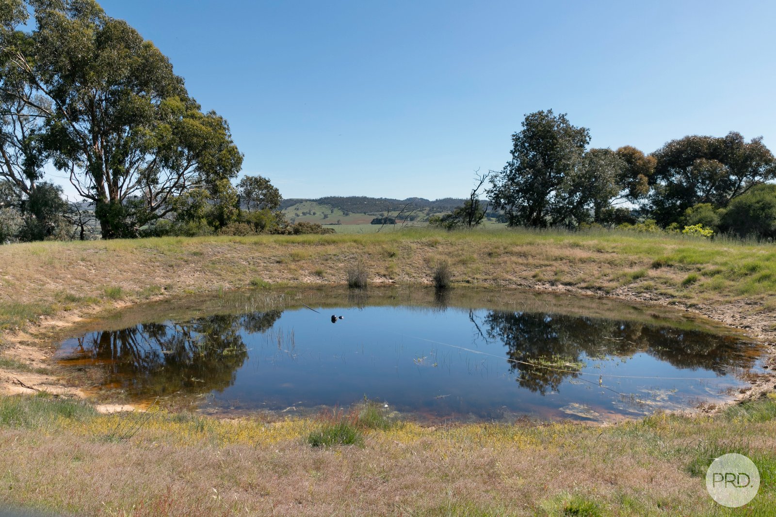 108 Coutts Road MOUNT BECKWORTH 14