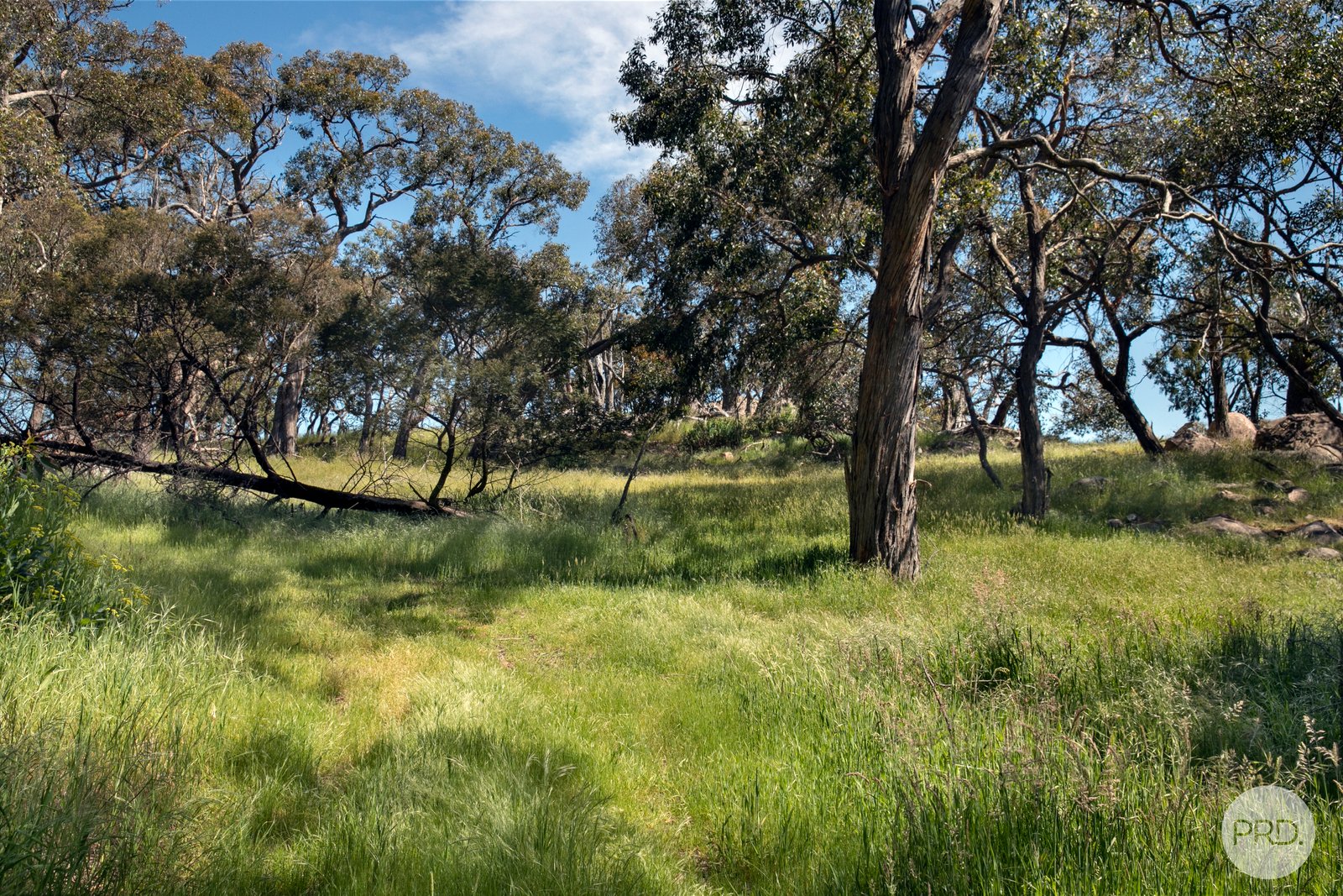 108 Coutts Road MOUNT BECKWORTH 19