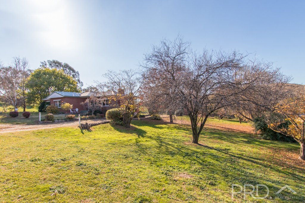 108 Lockhart Street ADELONG 16