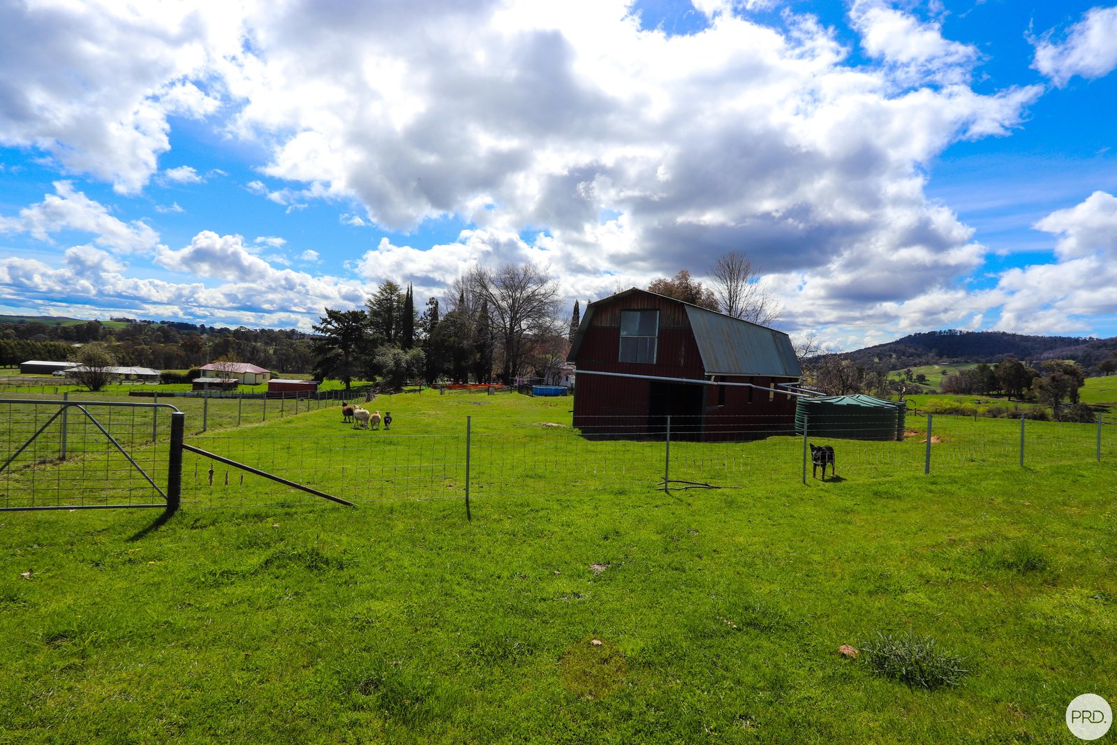 108 Pound Creek Road TUMBARUMBA 17