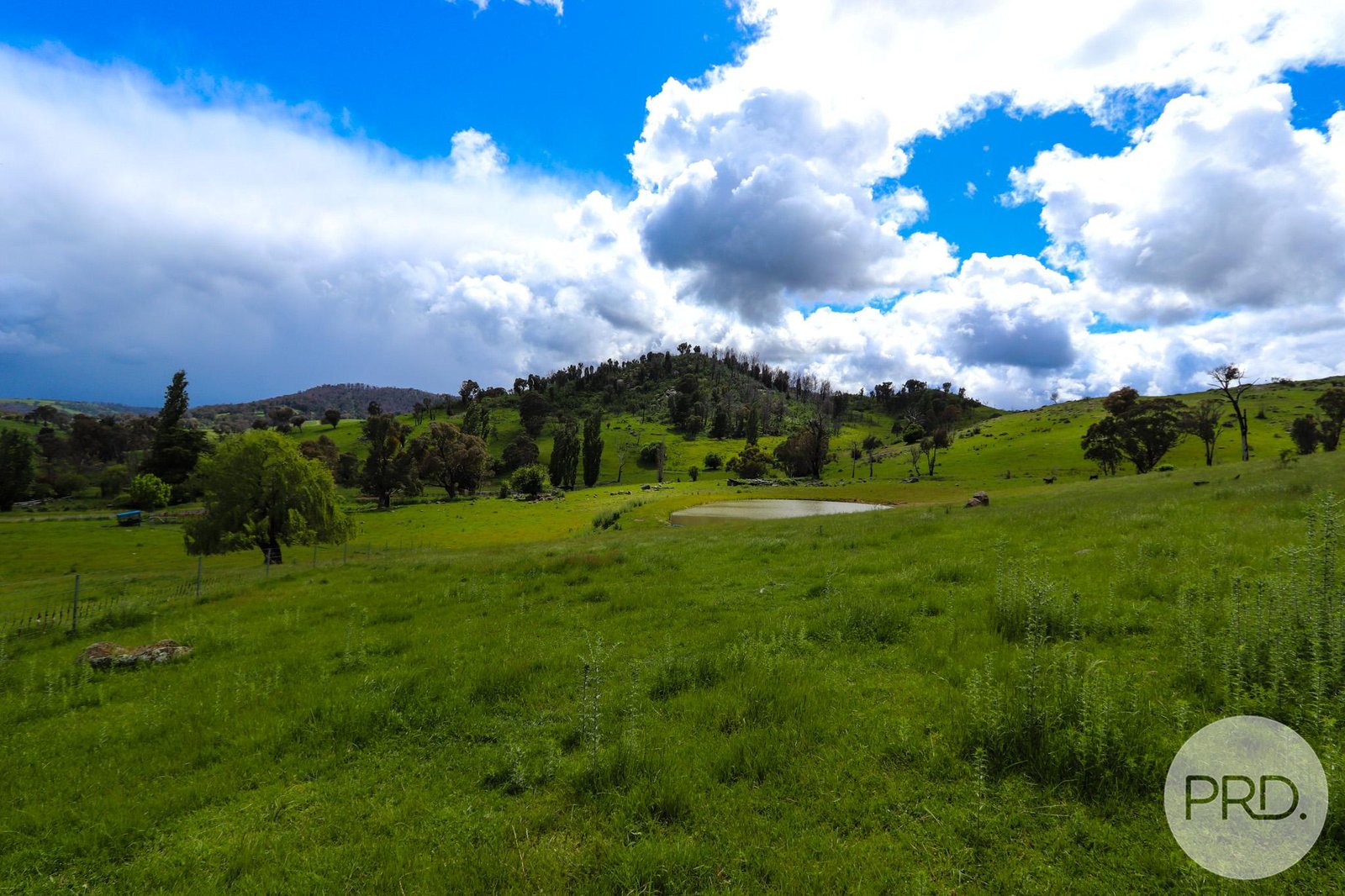 108 Pound Creek Road TUMBARUMBA 26