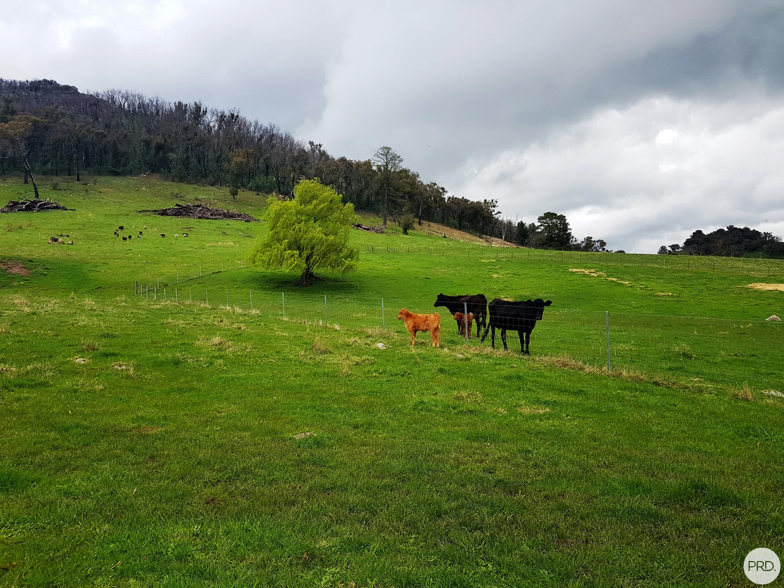 108 Pound Creek Road TUMBARUMBA 33