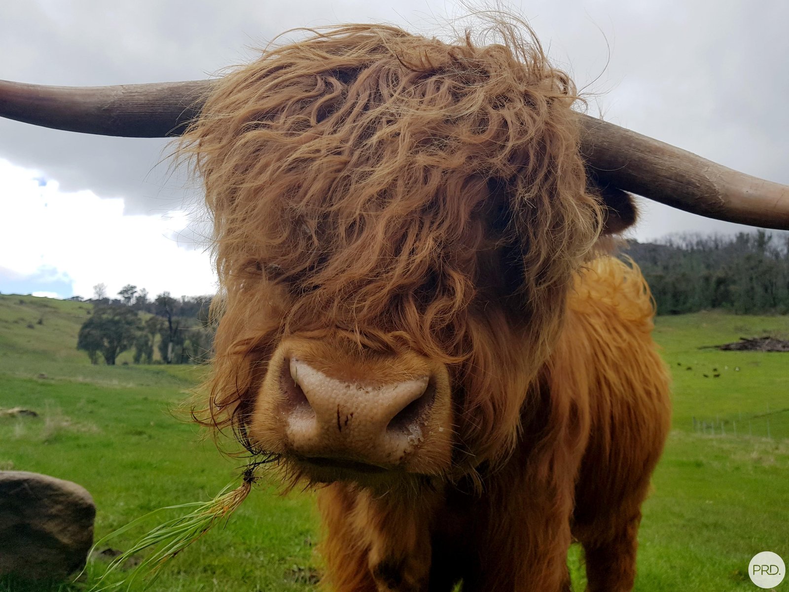 108 Pound Creek Road TUMBARUMBA 35